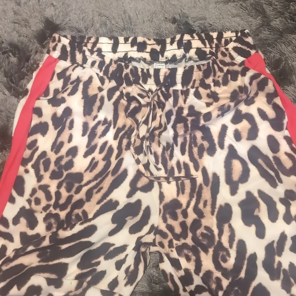 Leopard Print Color Block Wide-Leg Pants with Red Stripe - Picture 5 of 7